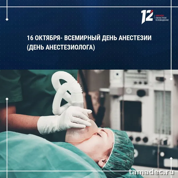 Картинки с Днем анестезиолога (110 открыток). Красивые открытки