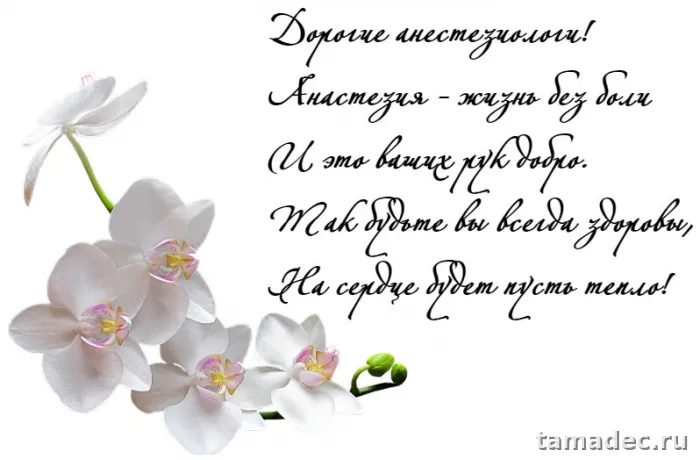 Картинки с Днем анестезиолога (110 открыток). Картинки с поздравлениями