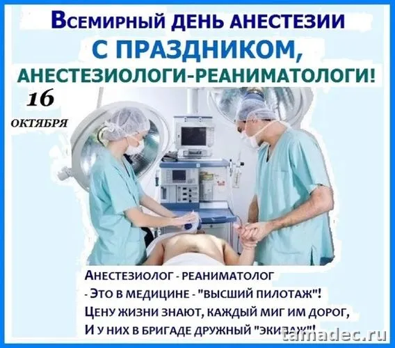 Картинки с Днем анестезиолога (110 открыток). Картинки с поздравлениями