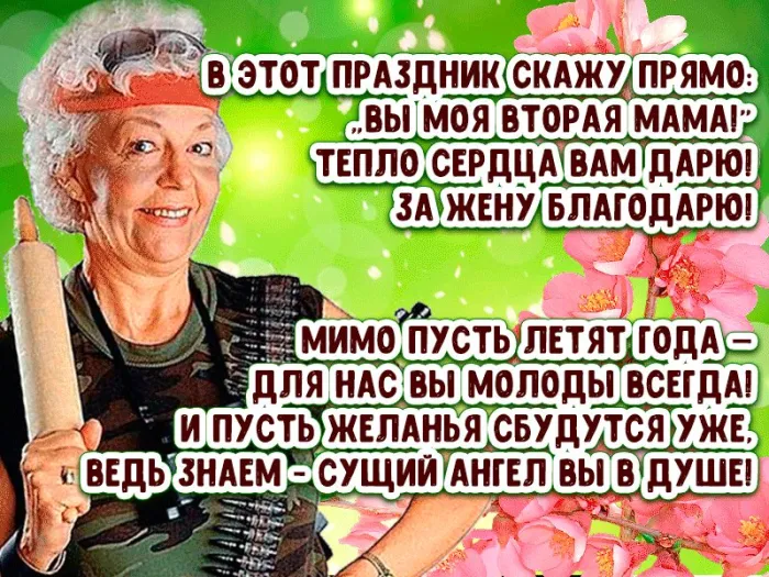 Прикольные картинки с Днем тёщи (140 открыток). Прикольные картинки