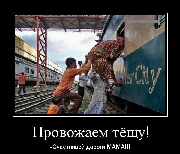 Прикольные картинки с Днем тёщи (140 открыток). Прикольные картинки