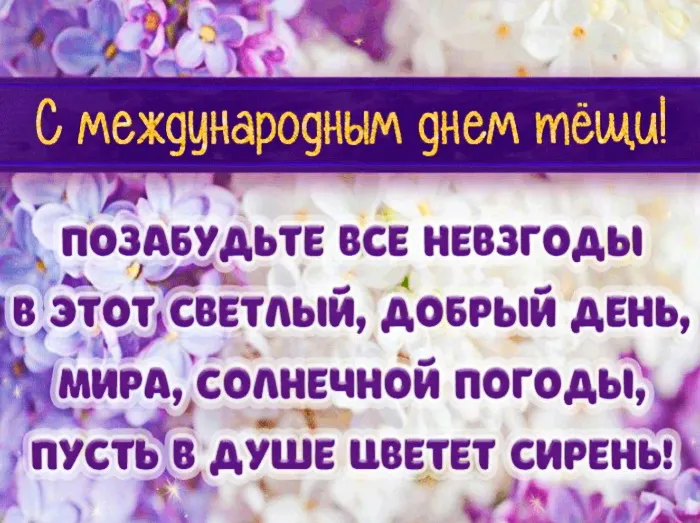 Прикольные картинки с Днем тёщи (140 открыток). Красивые открытки