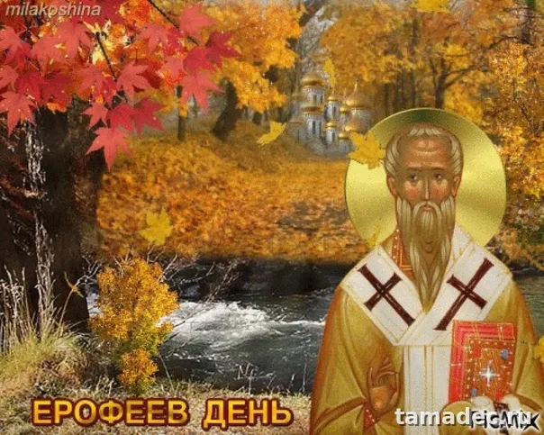Картинки на Ерофеев день (20 открыток). Красивые картинки