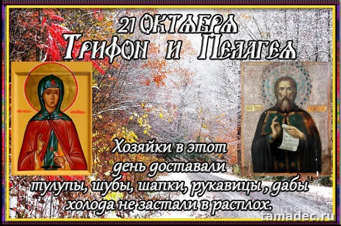 Картинки Трифон и Пелагея (25 открыток). Красивые открытки