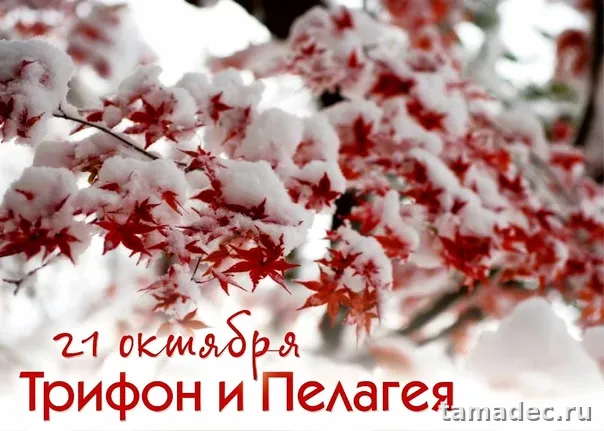 Картинки Трифон и Пелагея (25 открыток). Красивые открытки
