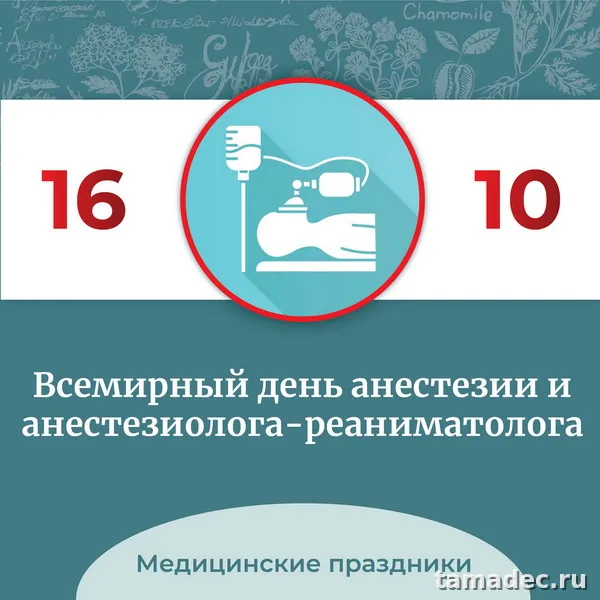 Картинки с Днем анестезиолога (110 открыток). Красивые открытки
