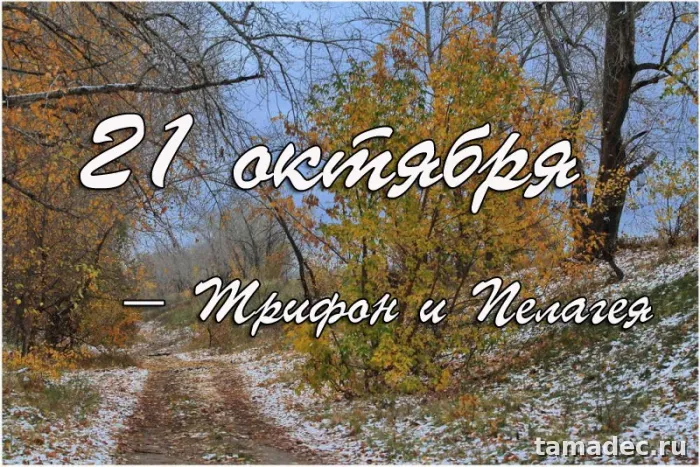 Картинки Трифон и Пелагея (25 открыток). Красивые открытки
