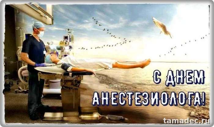 Картинки с Днем анестезиолога (110 открыток). Красивые открытки