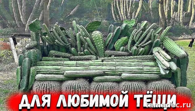 Прикольные картинки с Днем тёщи (140 открыток). Картинки с поздравлениями