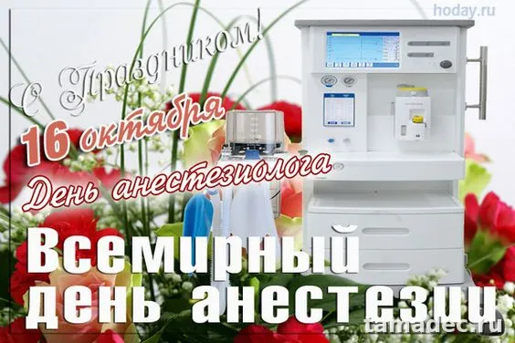 Картинки с Днем анестезиолога (110 открыток). Картинки с поздравлениями