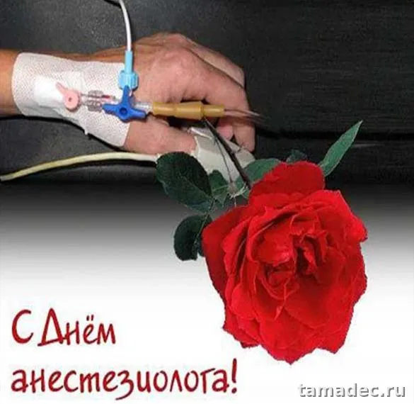 Картинки с Днем анестезиолога (110 открыток). Картинки с поздравлениями