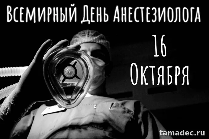 Картинки с Днем анестезиолога (110 открыток). Красивые открытки