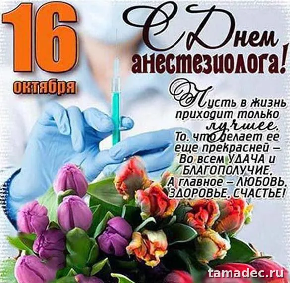 Картинки с Днем анестезиолога (110 открыток). Картинки с поздравлениями