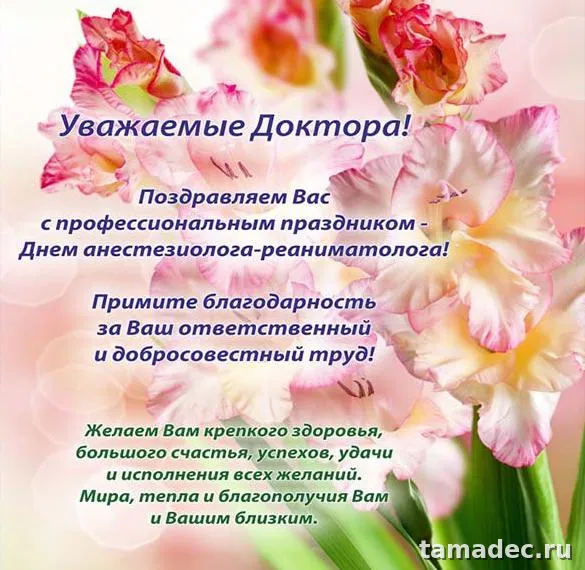 Картинки с Днем анестезиолога (110 открыток). Картинки с поздравлениями