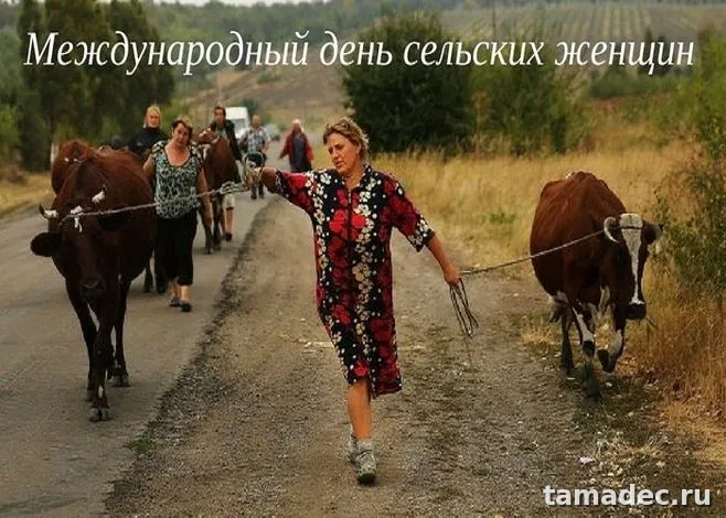 Картинки с Днем сельских женщин (90 открыток). Красивые открытки с Днем сельских женщин
