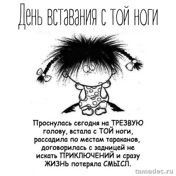 Картинки с Днем вставания с той ноги (35 открыток). Красивые и прикольные открытки с Днем вставания с той ноги