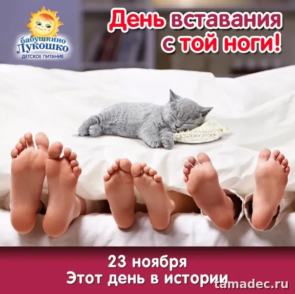 Картинки с Днем вставания с той ноги (35 открыток). Красивые и прикольные открытки с Днем вставания с той ноги