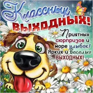 Картинки "Хороших и отличных выходных" . Картинки пожелания "Хороших выходных"