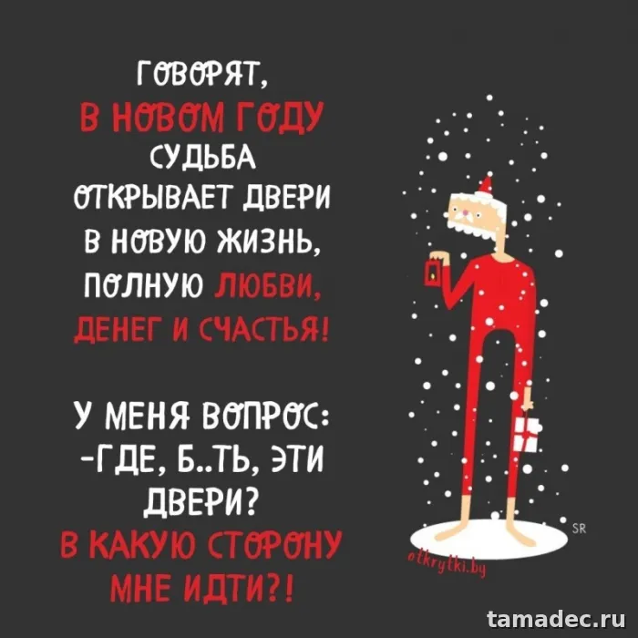 Прикольные картинки на Новый год. Картинки про Новый год с надписями