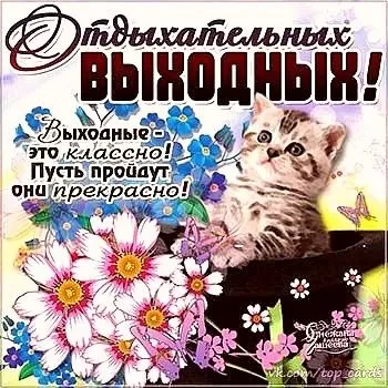Картинки "Хороших и отличных выходных" . Отличных выходных - картинки прикольные