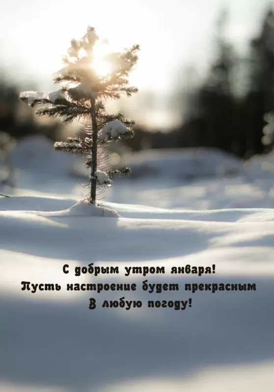 Картинки Доброе утро января. Прикольные картинки "Доброго утра января"