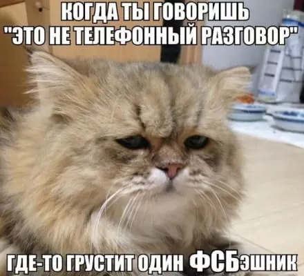 7 картинок с Днём ФСБ 20 декабря — скачать и отправить. Прикольные картинки ко Дню ФСБ