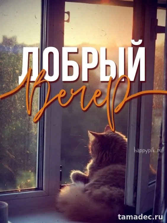 Красивые картинки Добрый вечер