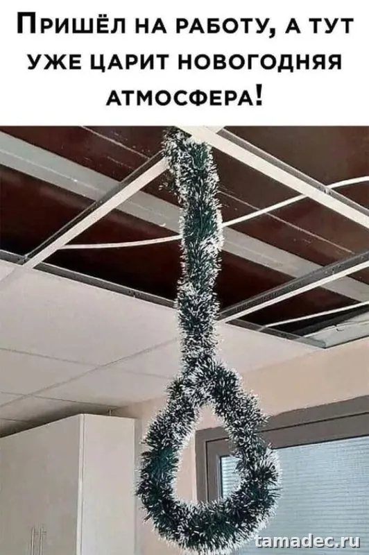 Прикольные картинки на Новый год. Прикольные картинки про Новый год