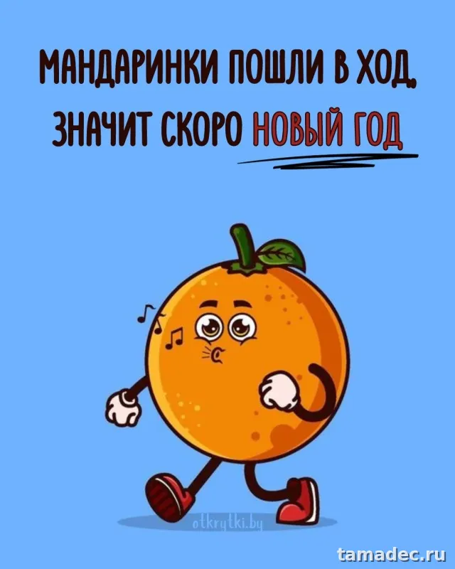 Прикольные картинки на Новый год. Приколы про Новый год в картинках