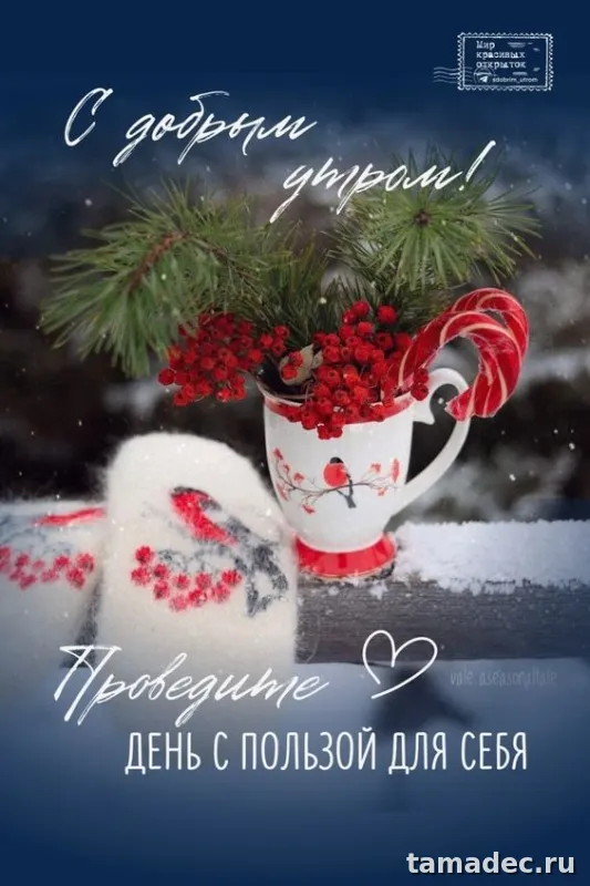 Красивые новогодние картинки Доброе утро. Красивые картинки Доброе утро новогодние