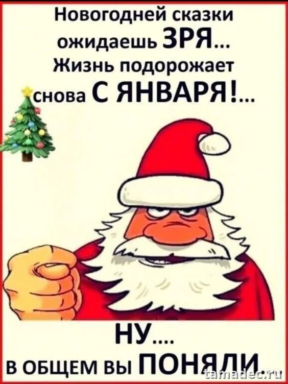 Прикольные картинки на Новый год. Приколы про Новый год в картинках