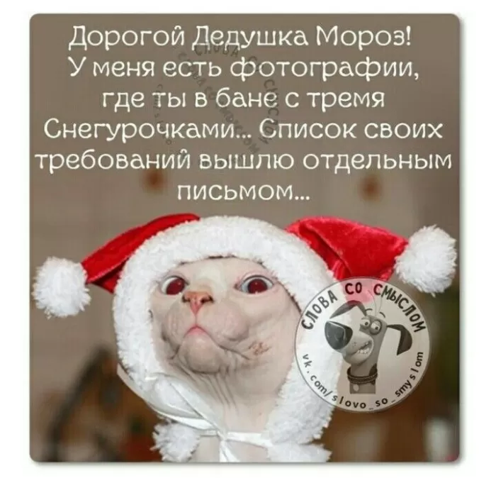 Прикольные картинки про Новый год. Новогодние открытки - прикольные и веселые&nbsp;