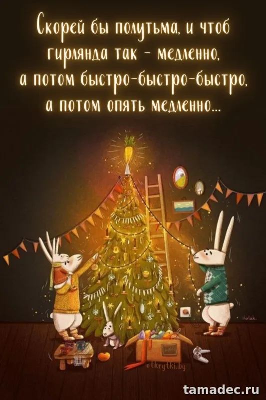 Прикольные картинки на Новый год. Новогодние прикольные картинки
