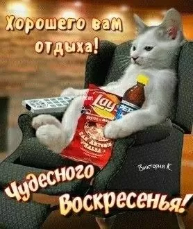Картинки Доброе утро воскресенья. Картинки с пожеланиями "Доброго воскресного утра"