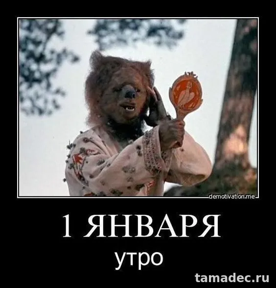 Прикольные картинки на Новый год. Картинки про Новый год с надписями