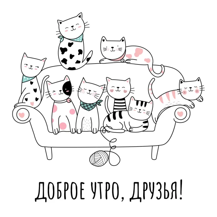 Картинки котиков с добрым утром. "Доброе утро" - картинки с котиками прикольные