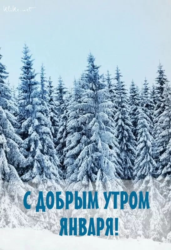 Картинки Доброе утро января. Красивые картинки Доброе утро января