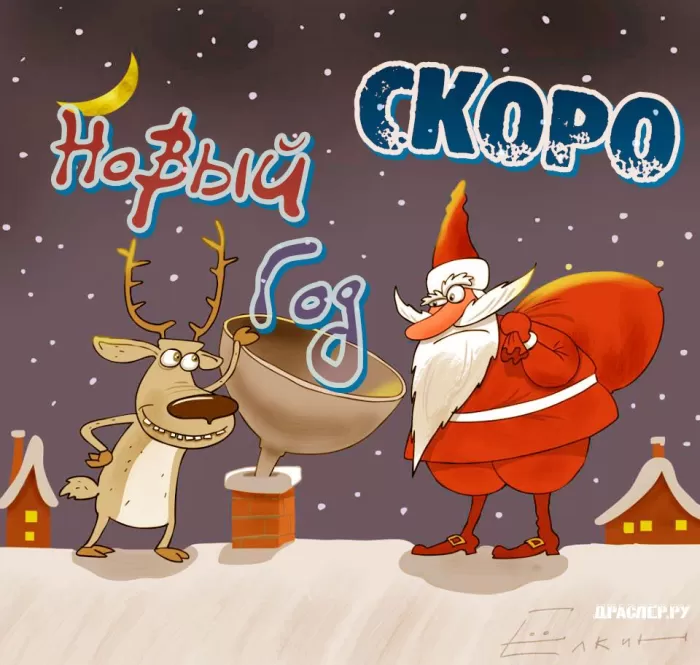 Прикольные картинки про Новый год