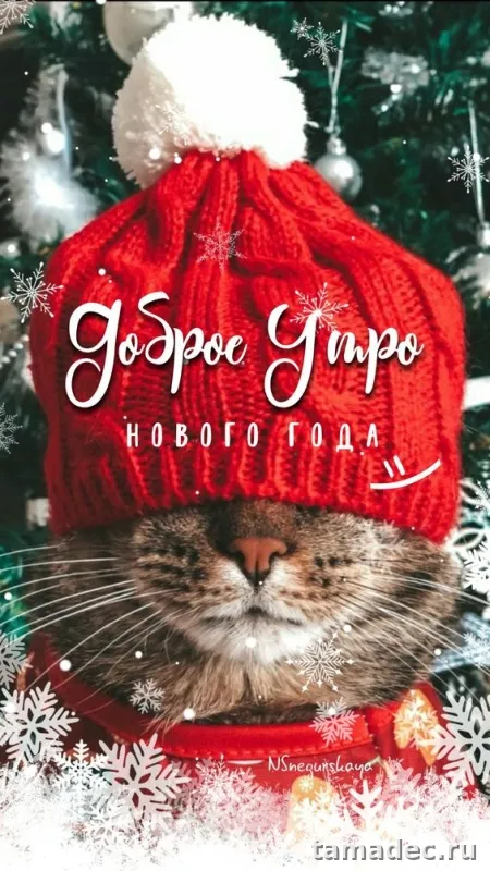 Красивые новогодние картинки Доброе утро. Доброе утро - картинки новогодние с пожеланиями