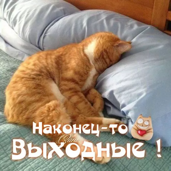 Картинки Доброе утро воскресенья. Картинки с пожеланиями "Доброго воскресного утра"