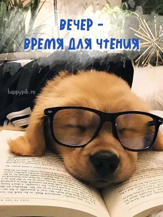 Красивые картинки Добрый вечер. Добрый вечер - прикольные картинки&nbsp;