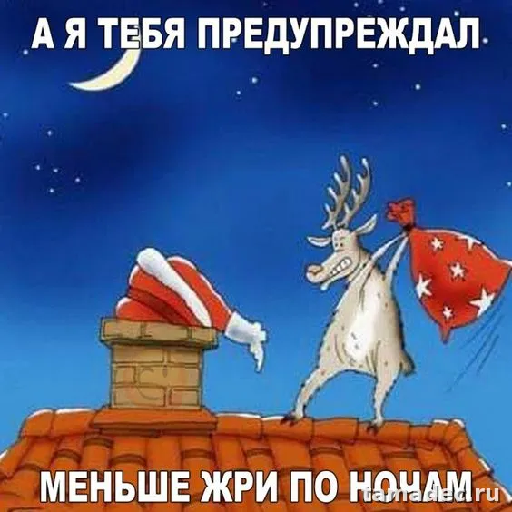 Прикольные картинки на Новый год. Приколы про Новый год в картинках
