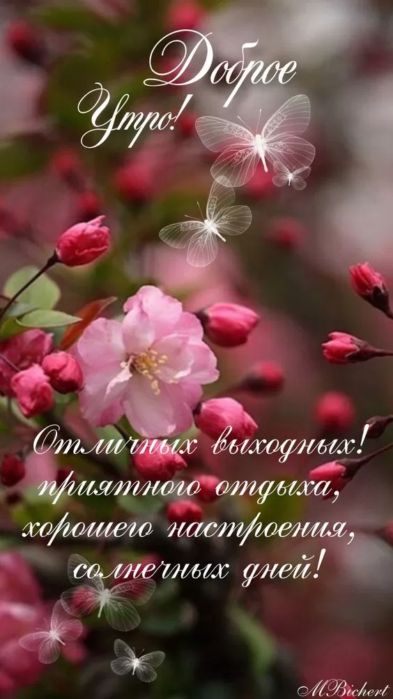 Картинки "Хороших и отличных выходных" . Красивые картинки "Хороших выходных"