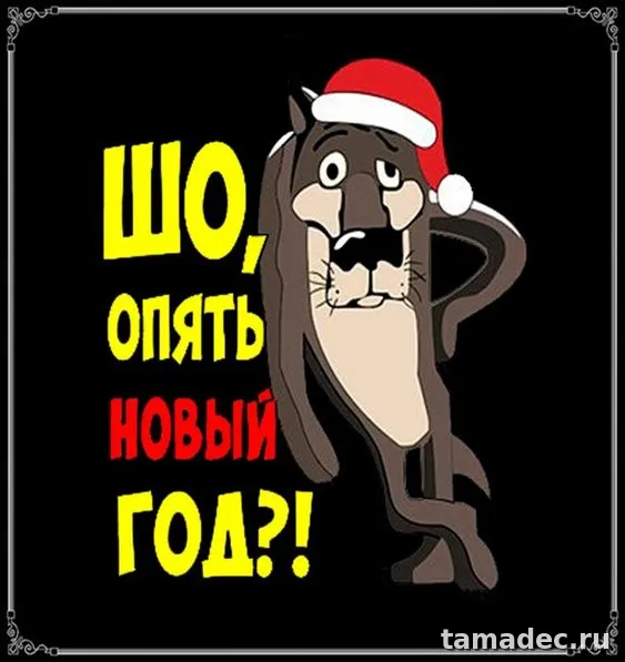 Прикольные картинки на Новый год. Новогодние прикольные картинки