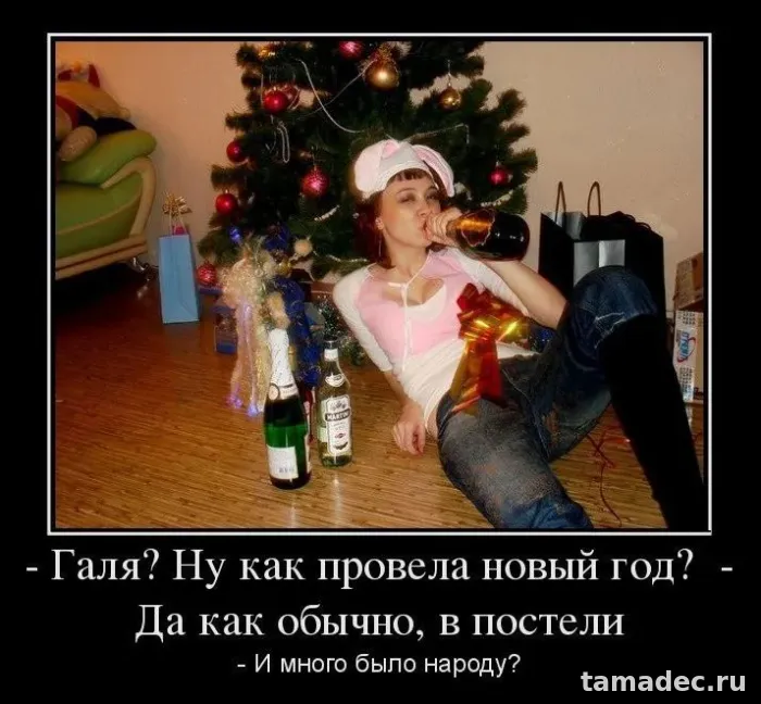 Прикольные картинки на Новый год. Прикольные картинки про Новый год