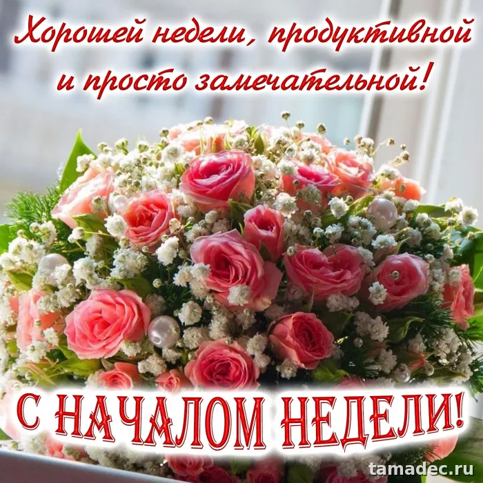 Картинки с пожеланиями хорошей недели. Хорошей недели - картинки красивые и прикольные
