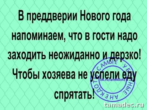 Прикольные картинки на Новый год. Новогодние прикольные картинки