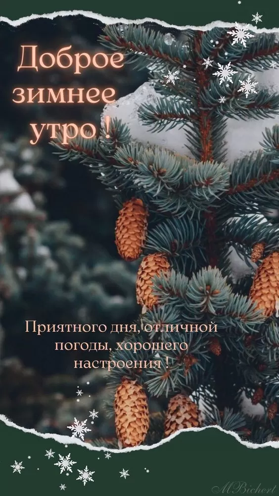 Картинки Доброго зимнего дня. Красивые картинки зимнего дня и доброго утра