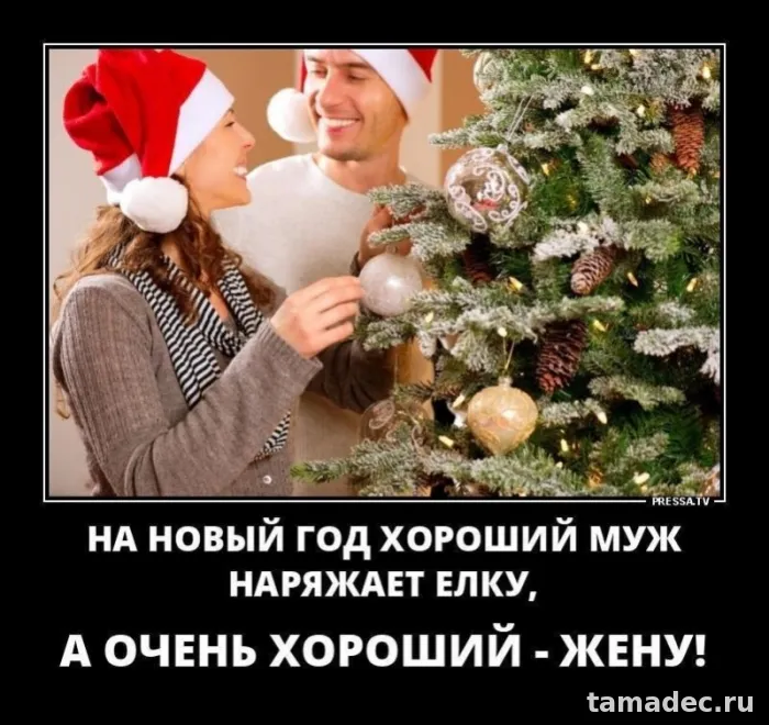 Прикольные картинки на Новый год. Картинки про Новый год с надписями