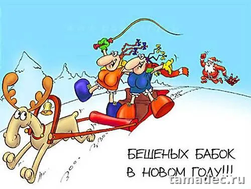 Прикольные картинки на Новый год. Картинки про Новый год с надписями